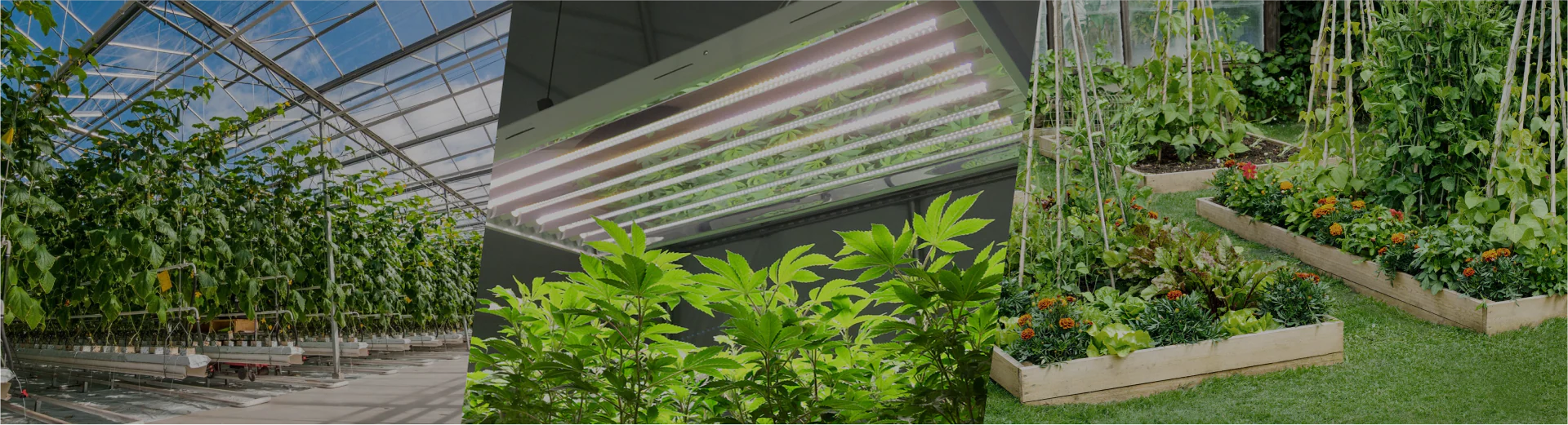 Sustainable Style for Every Home