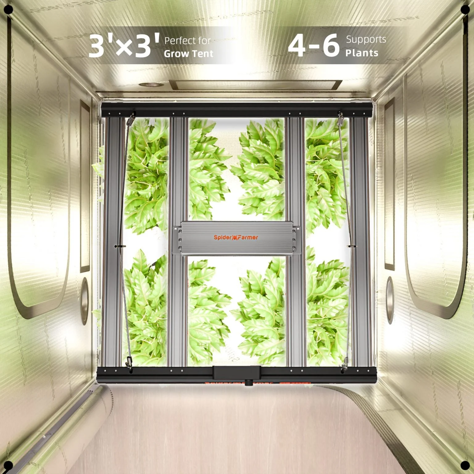 2025 Spider Farmer G3000 300W WiFi & Bluetooth App-Controlled Dimmable Cost effective Full Spectrum LED Grow Light for 3X3 Grow Tent - Image 9
