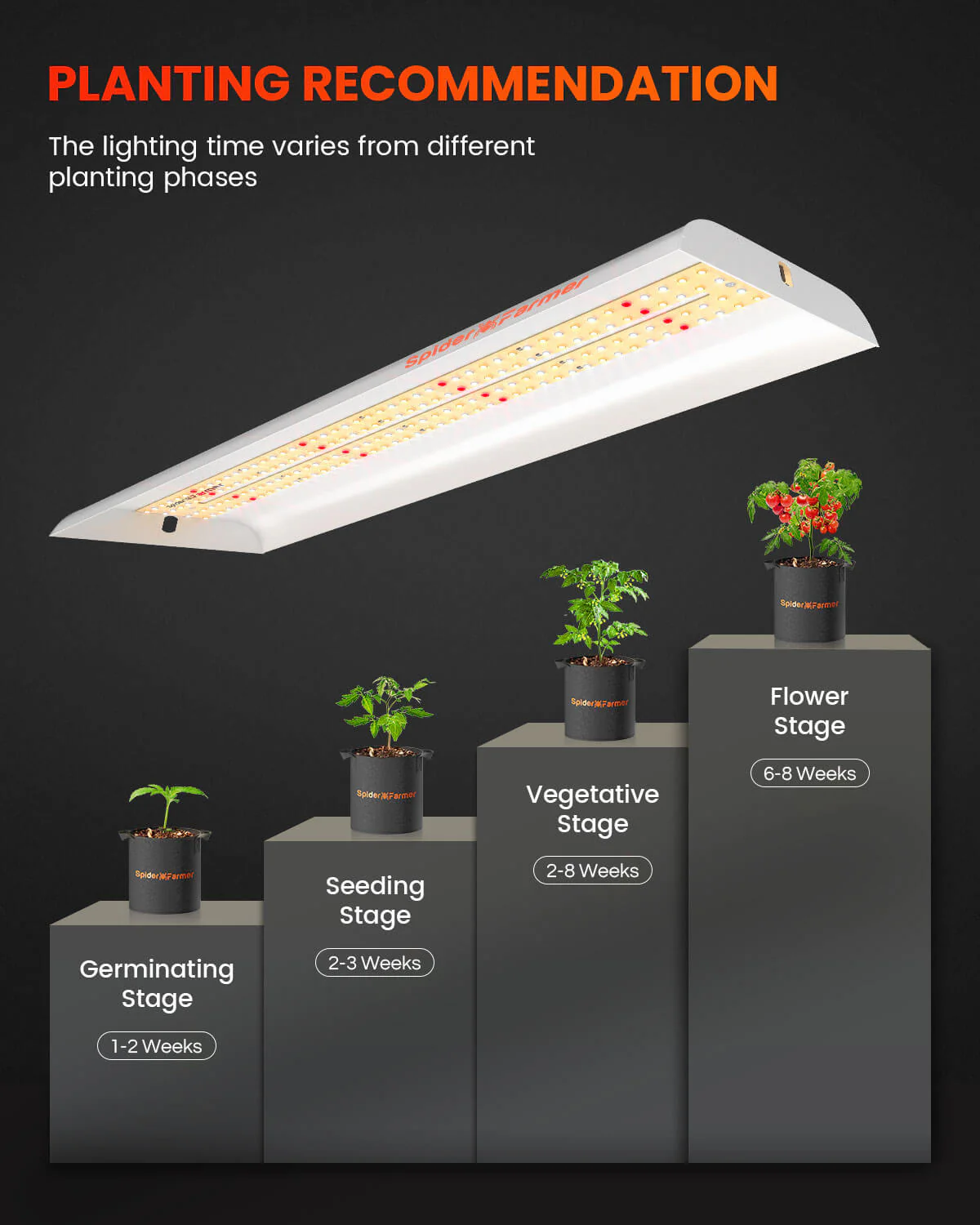 Spider Farmer SF300 33 Watt Led Grow Light For Veg - Image 2