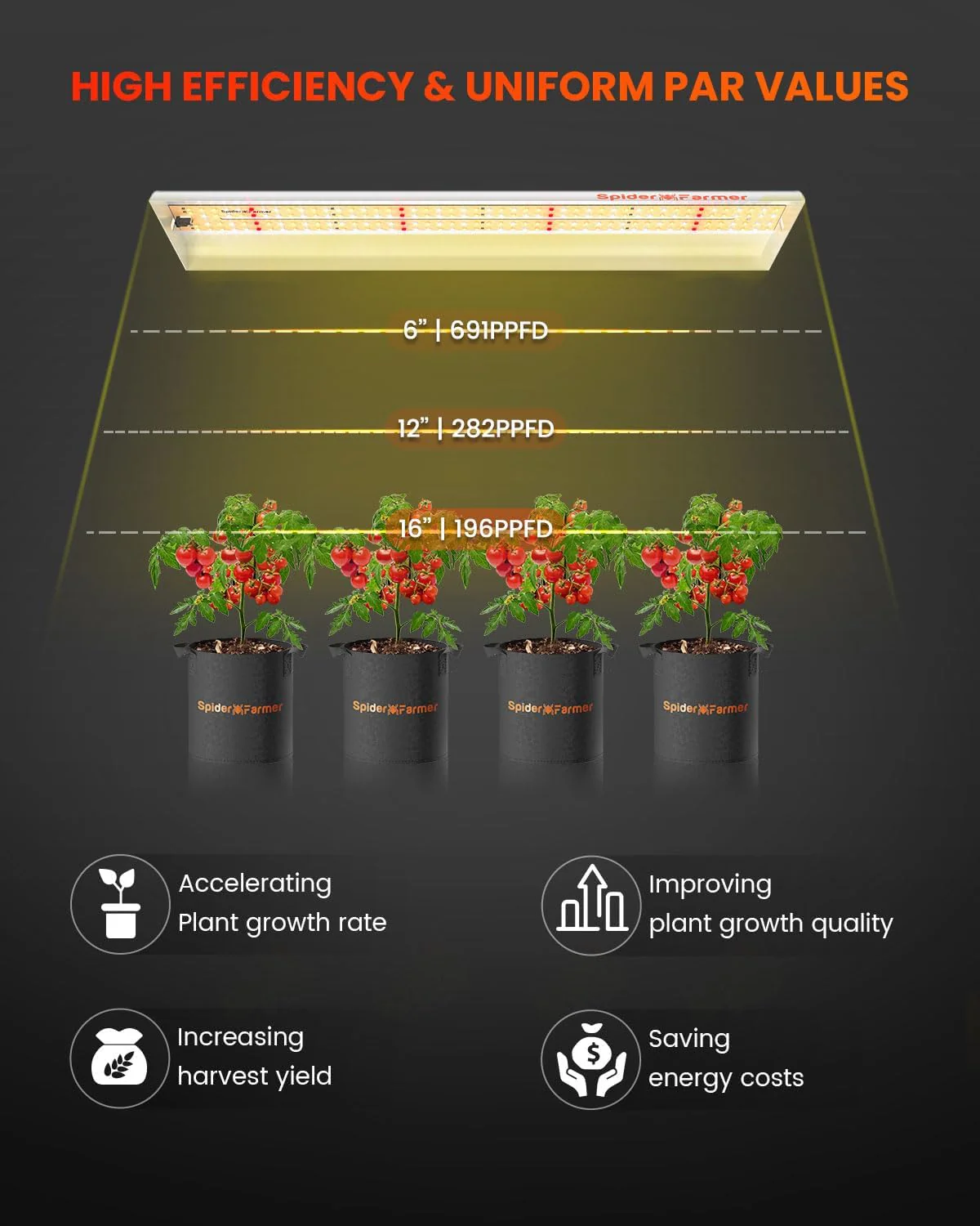 Spider Farmer SF300 33 Watt Led Grow Light For Veg - Image 4