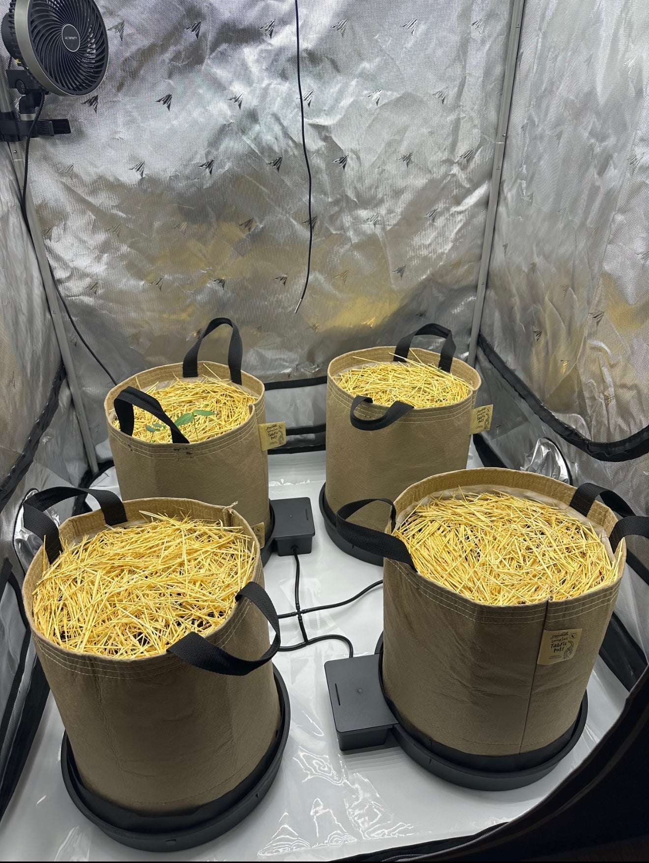 AutoPot XXL with Handles - Image 3
