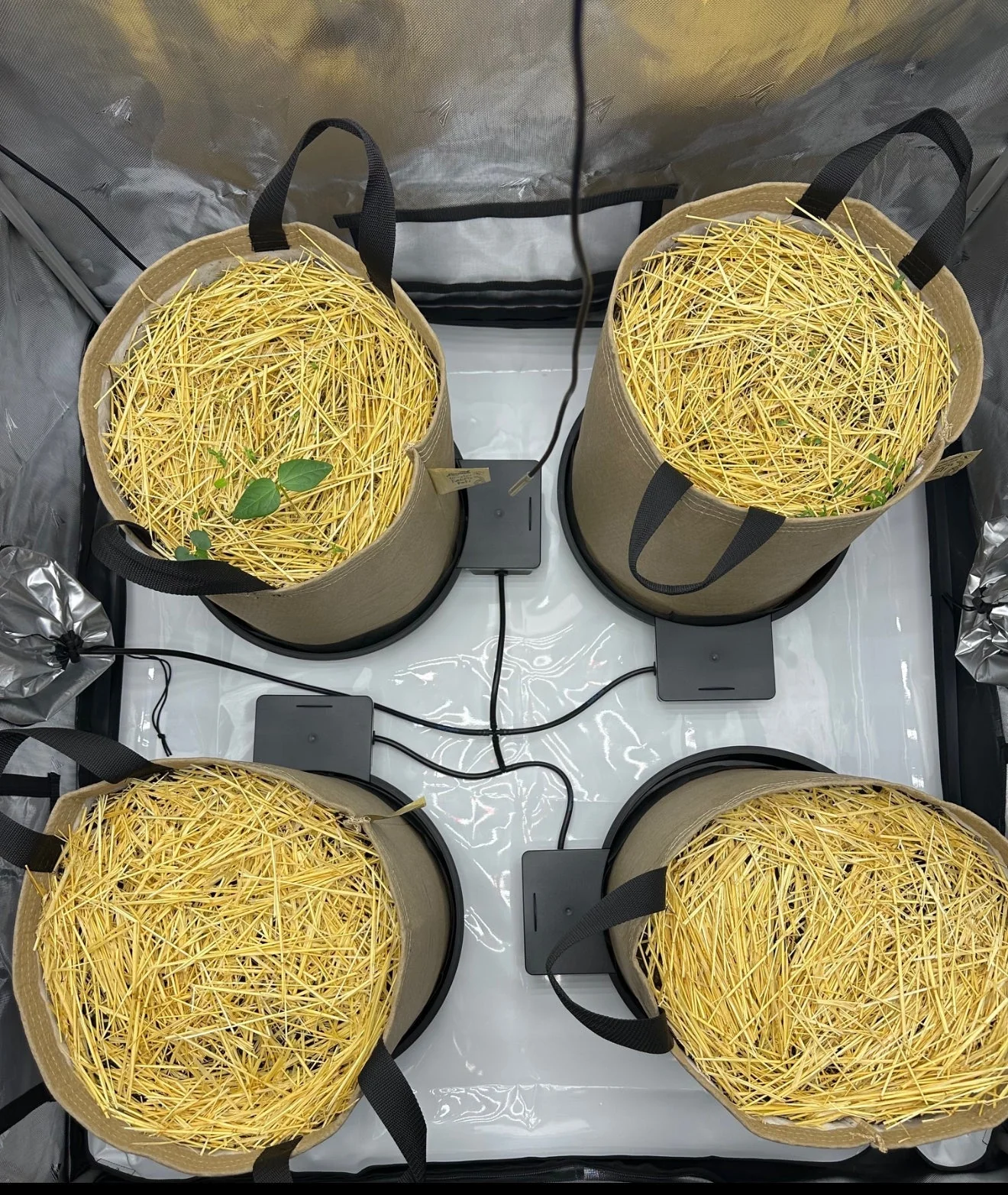 AutoPot XXL with Handles - Image 4