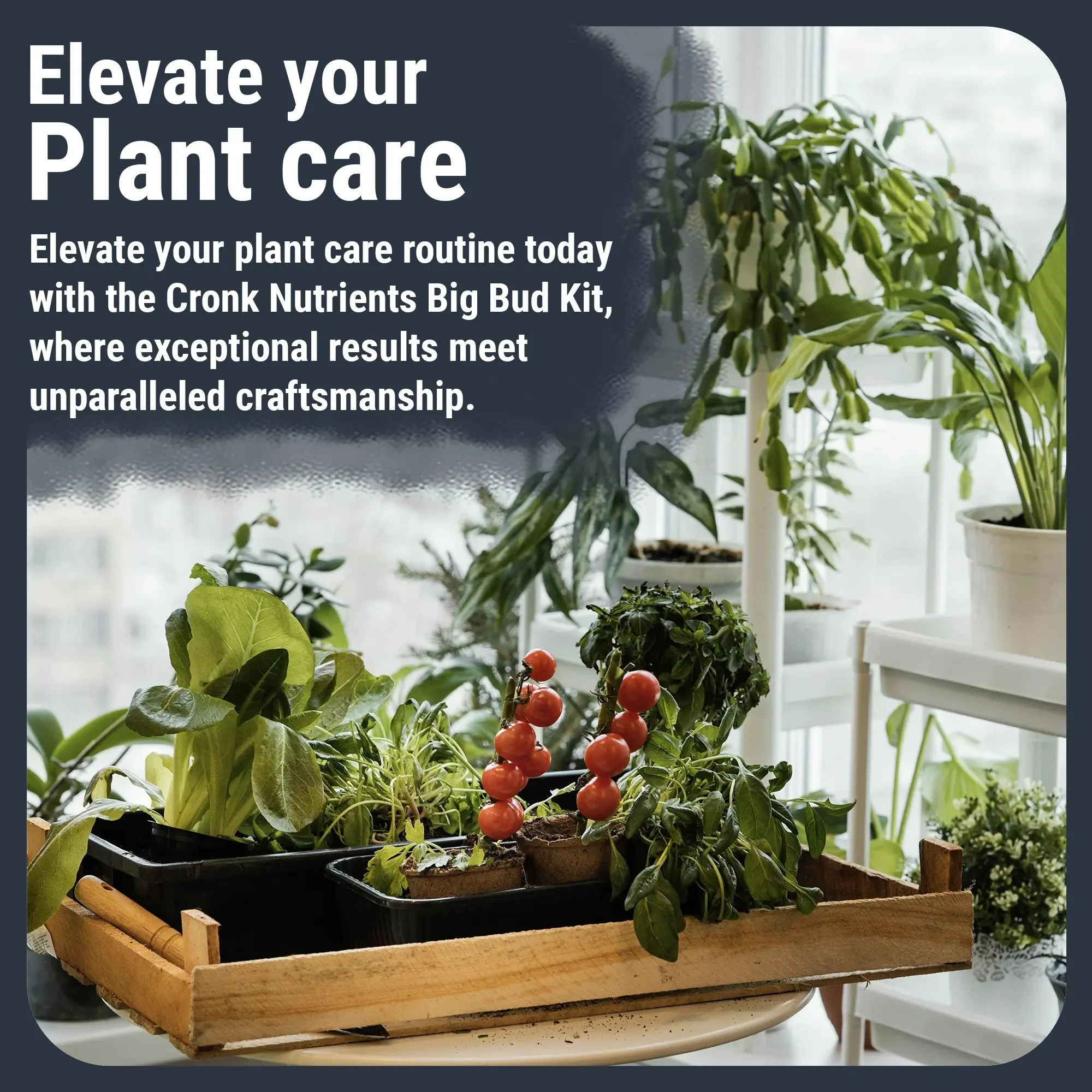 Cronk Nutrients Big Bud Kit Complete Plant Nutrient Solution - Micro, Grow, Bloom, CalMag, and Bud Booster - Image 5