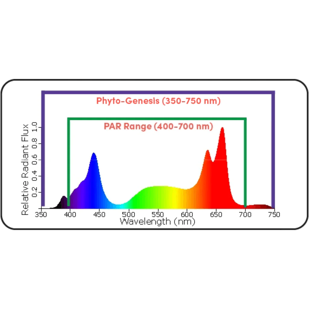 Black Dog Led PhytoMAX-3 16SH 800 Watt Grow Light - Image 5