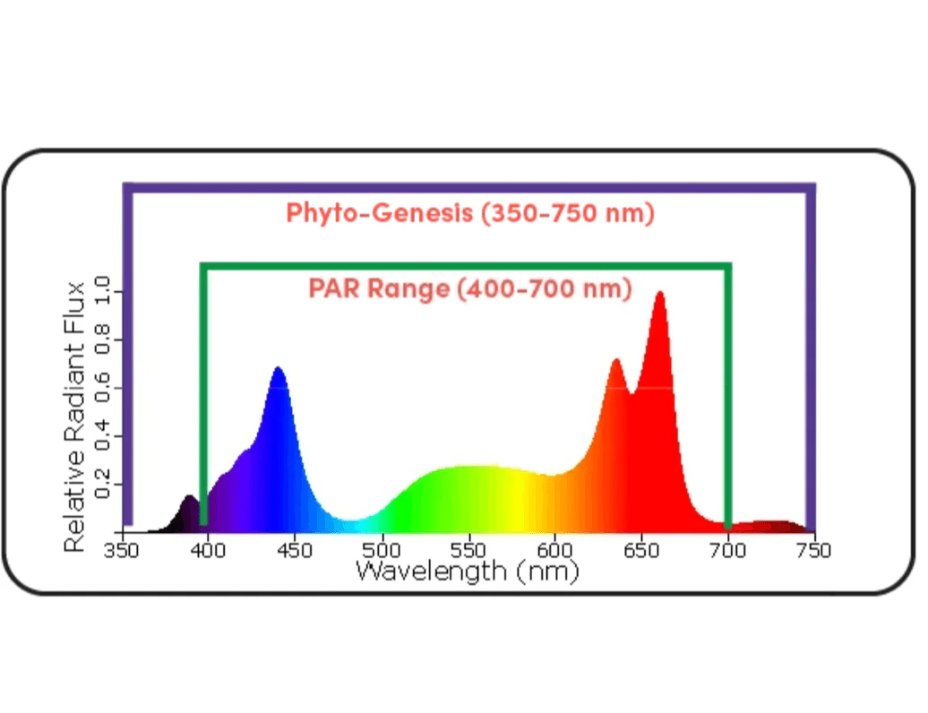 Black Dog Led PhytoMAX-3 16SP 800 Watt Grow Light - Image 5