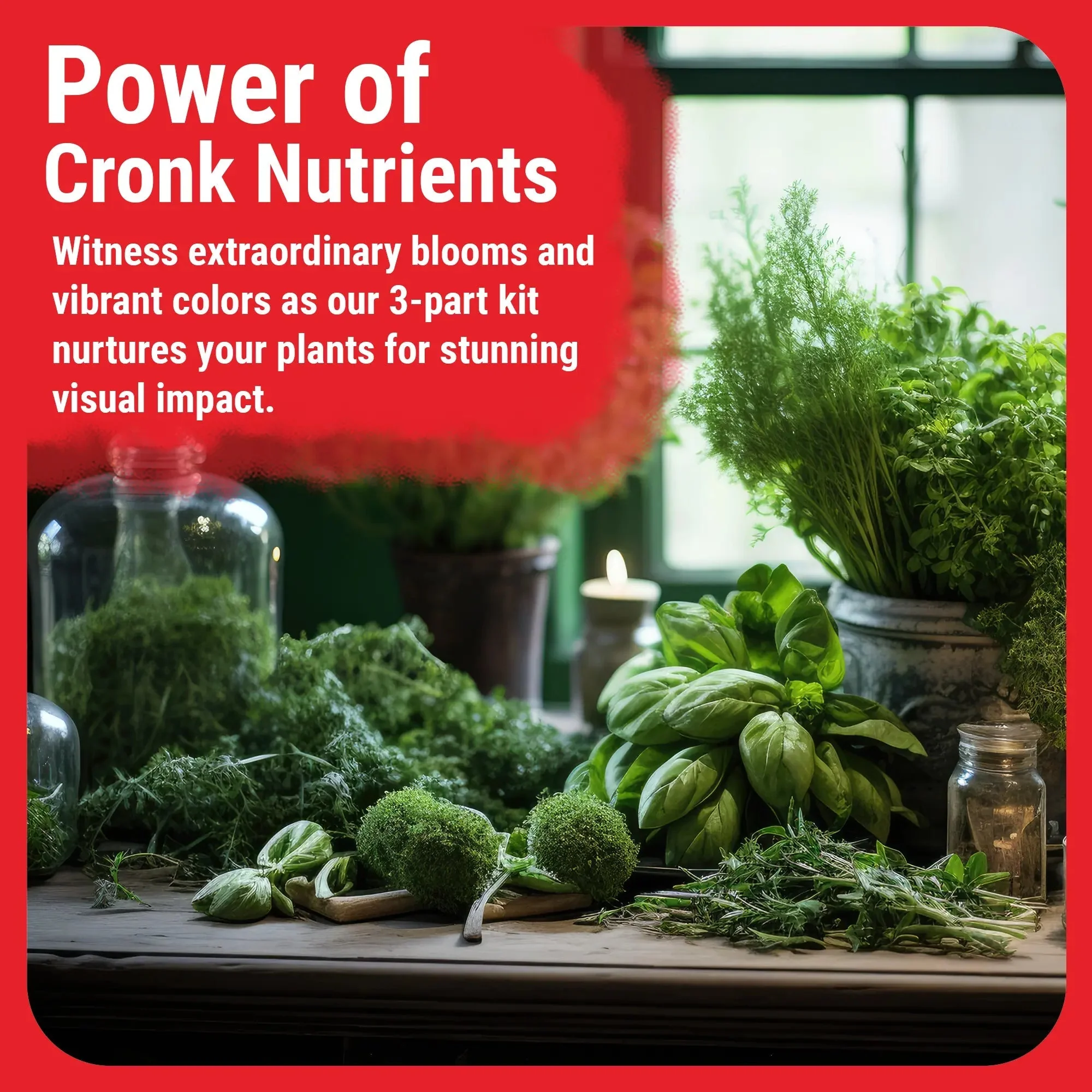 Cronk Nutrients 3-Part Base Kit  Micro, Grow, Bloom - Image 7