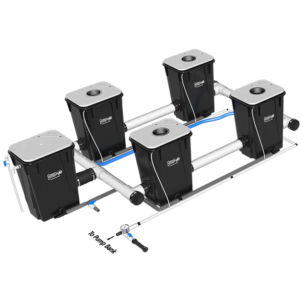 Current Culture H2O Under Current RDWC Hydroponic System - 13 Gallon, 40" Spacing - Image 12