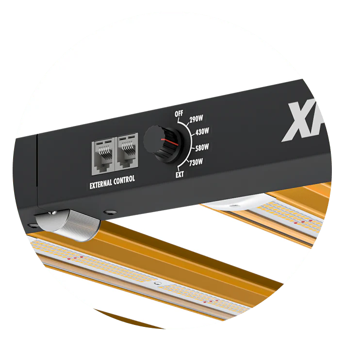 Dimlux Xplore 3.0 LED Grow Light – 730w, 240-277V - Image 2