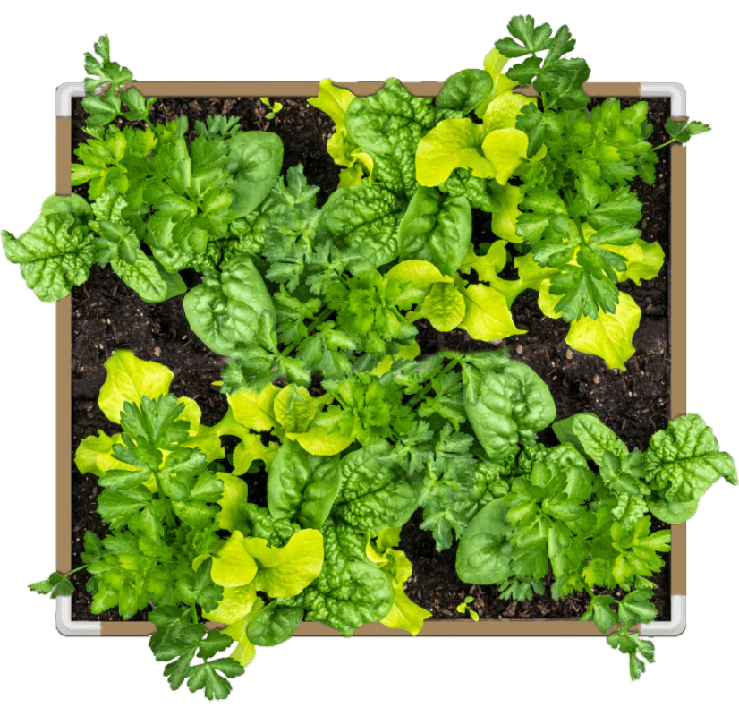 DIY Living Soil Fabric Bed - Image 6