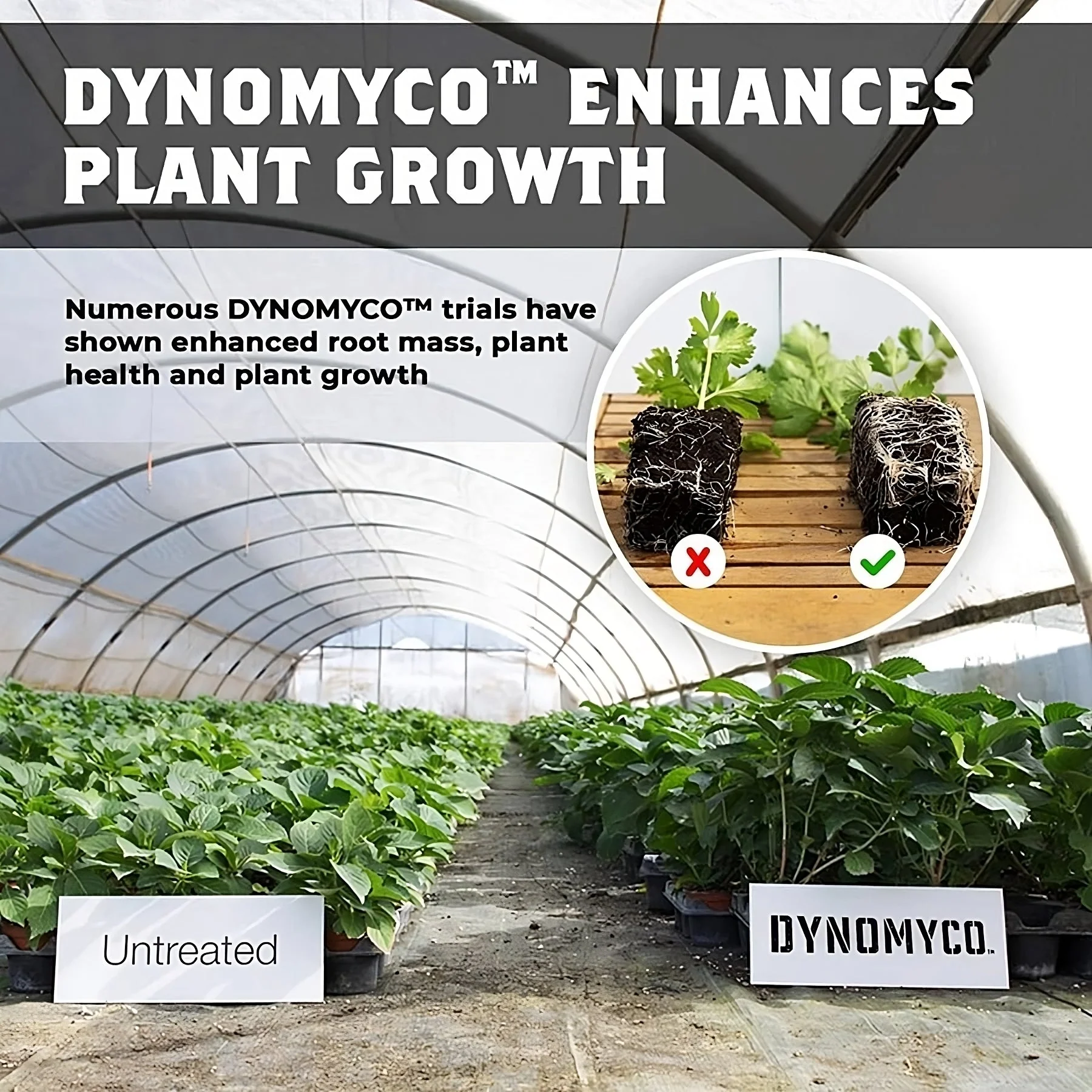Dynomyco Mycorrhizal Inoculant Granules - Image 7