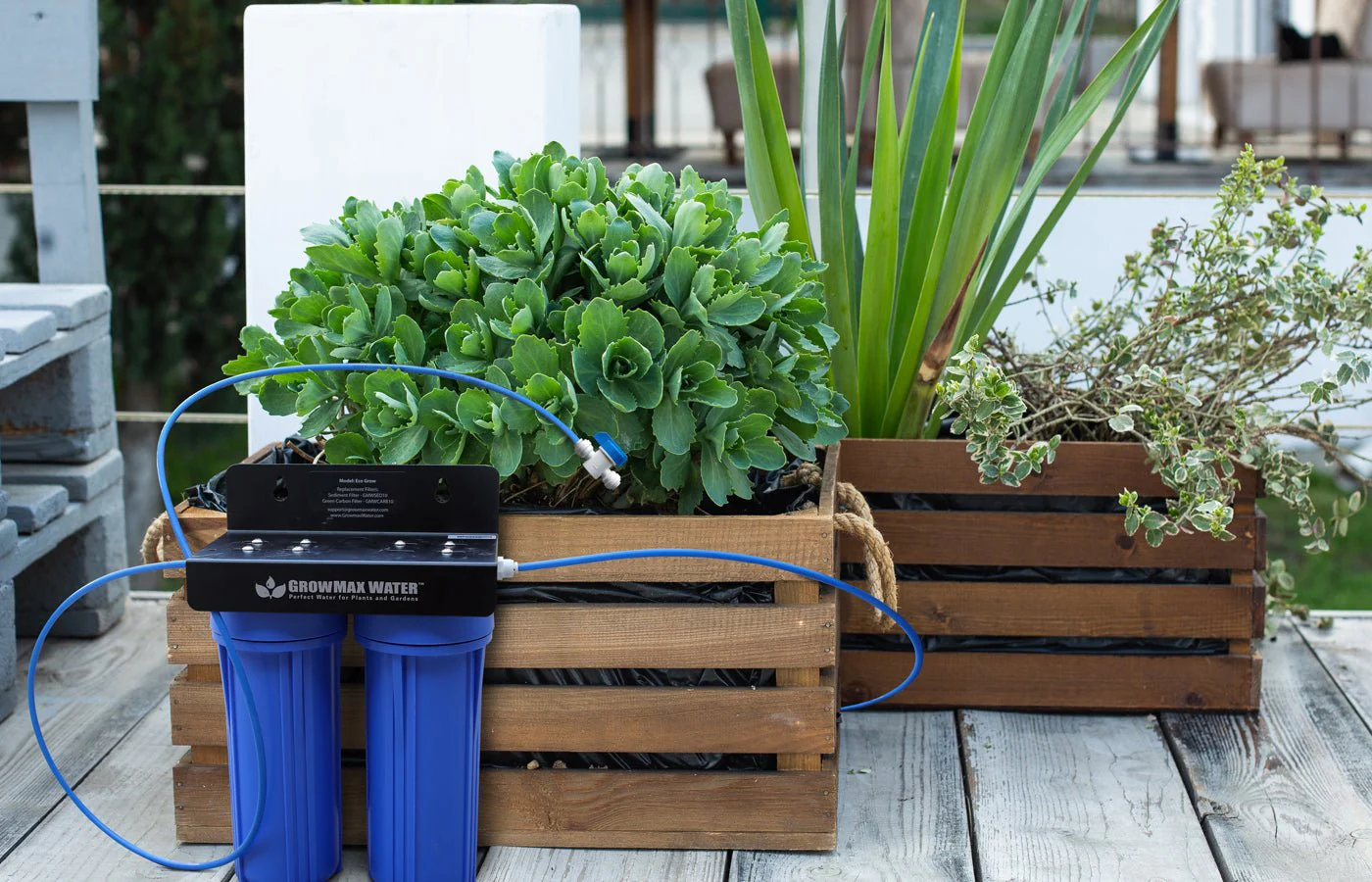 GrowMax Water Eco Grow 240 Dechlorinator & Sediment Water Filter System - Image 6