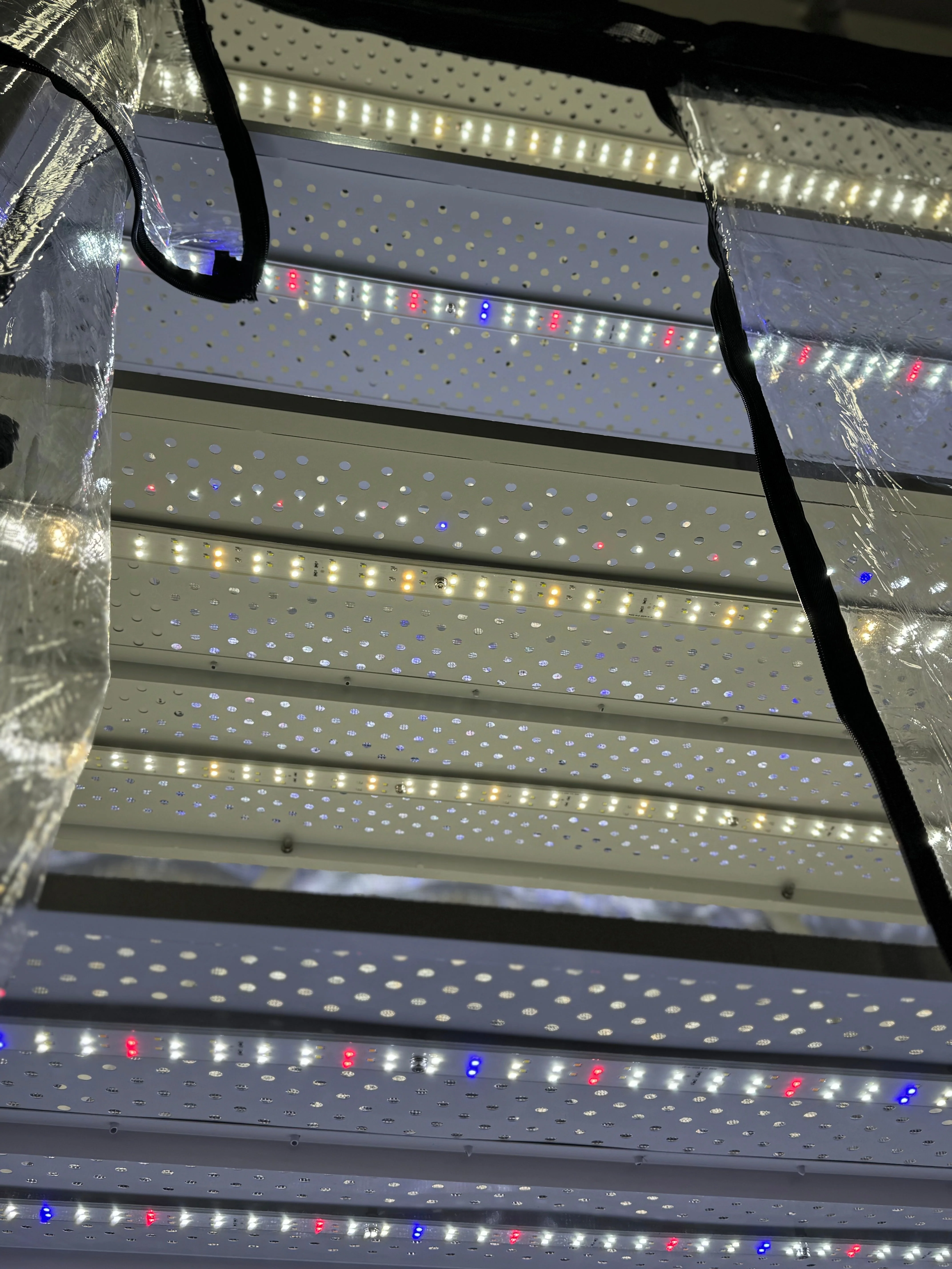 Grower's Choice Pro Pod Clone & Propagation Lighting System - Image 7