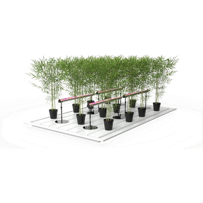 GrowPros Solutions Under Canopy 125 / 250 Watt Grow Light 80% Deep Red Spectrum - Image 10