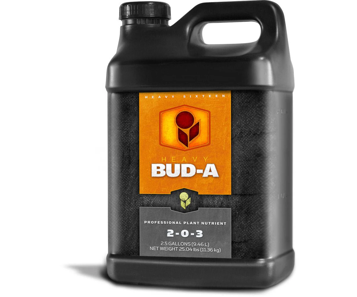 HEAVY 16 Bud A - Image 3