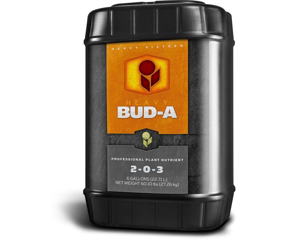HEAVY 16 Bud A - Image 4
