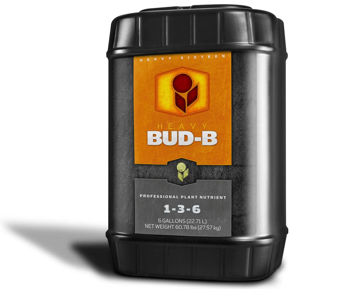 HEAVY 16 Bud B - Image 5