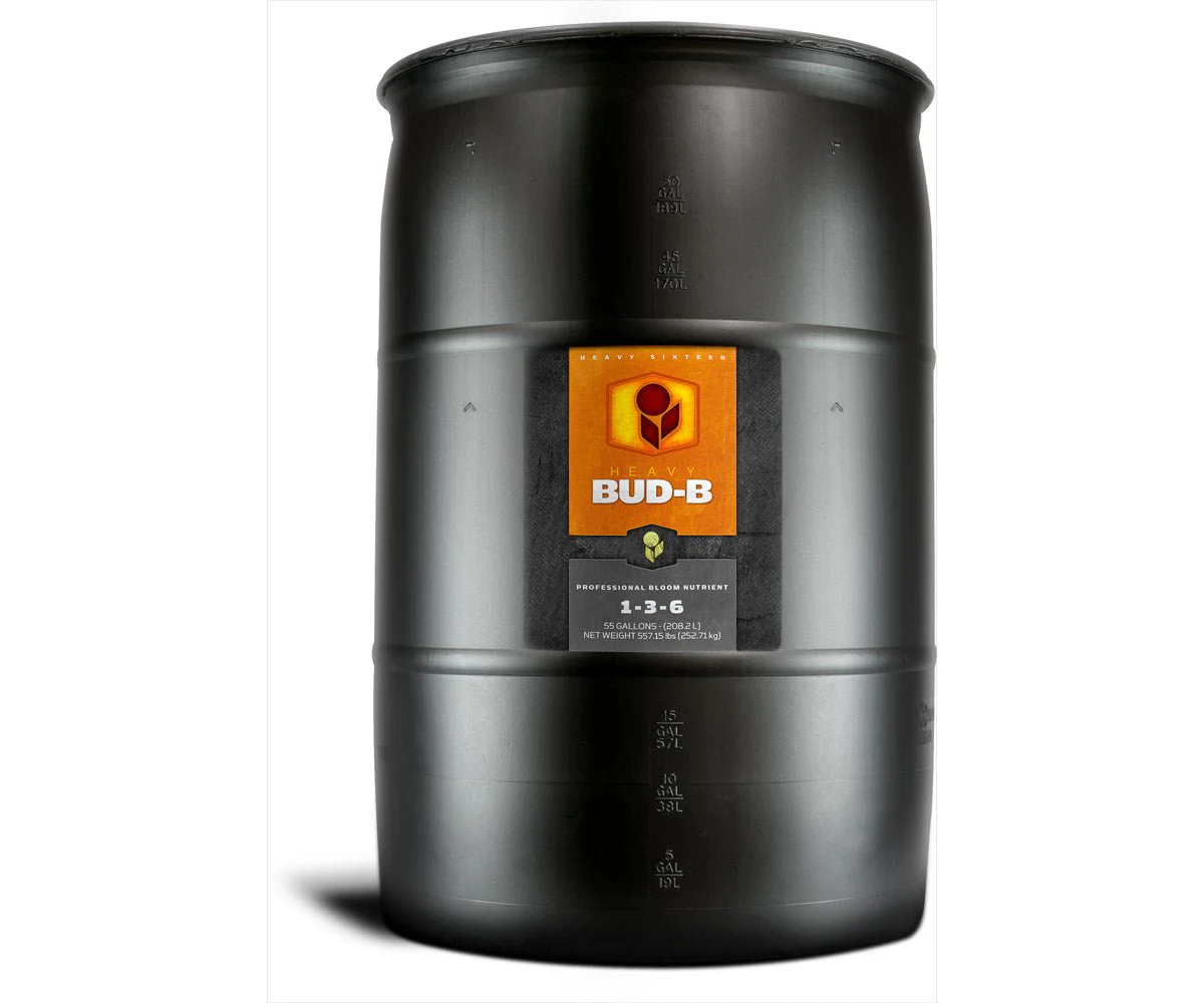 HEAVY 16 Bud B - Image 6