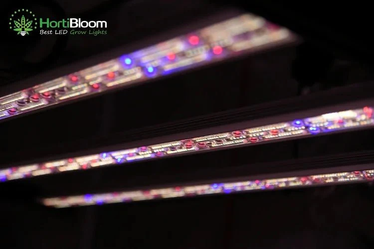 HortiBloom Mega Optic 720 Watt LED Grow Light - Image 11