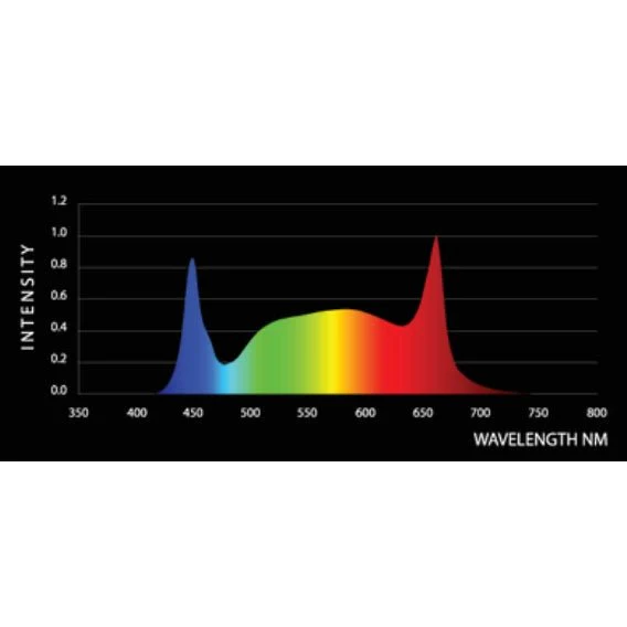 Iluminar Lighting 720 Watt Hypermol - Image 4