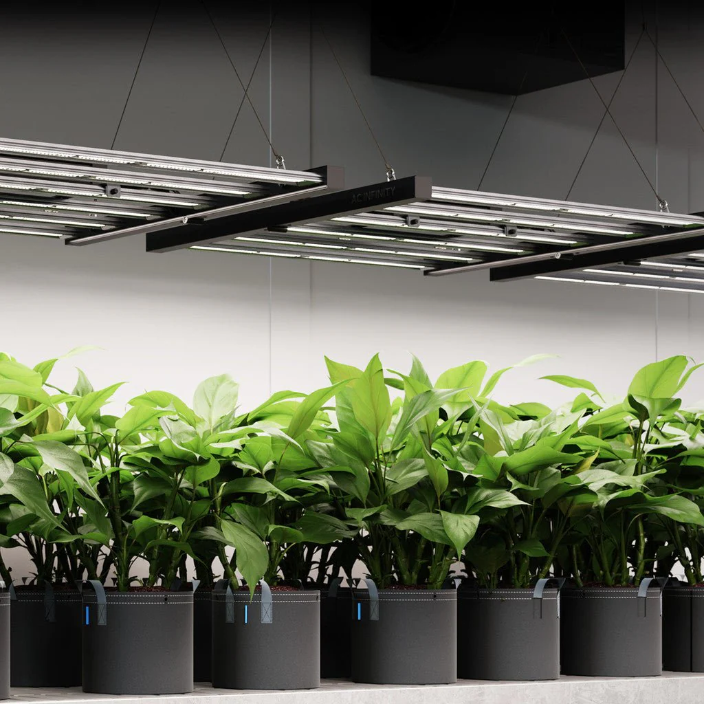AC Infinity Ionframe EVO 6 500 Watt Grow Light 4X4 FT - Image 2