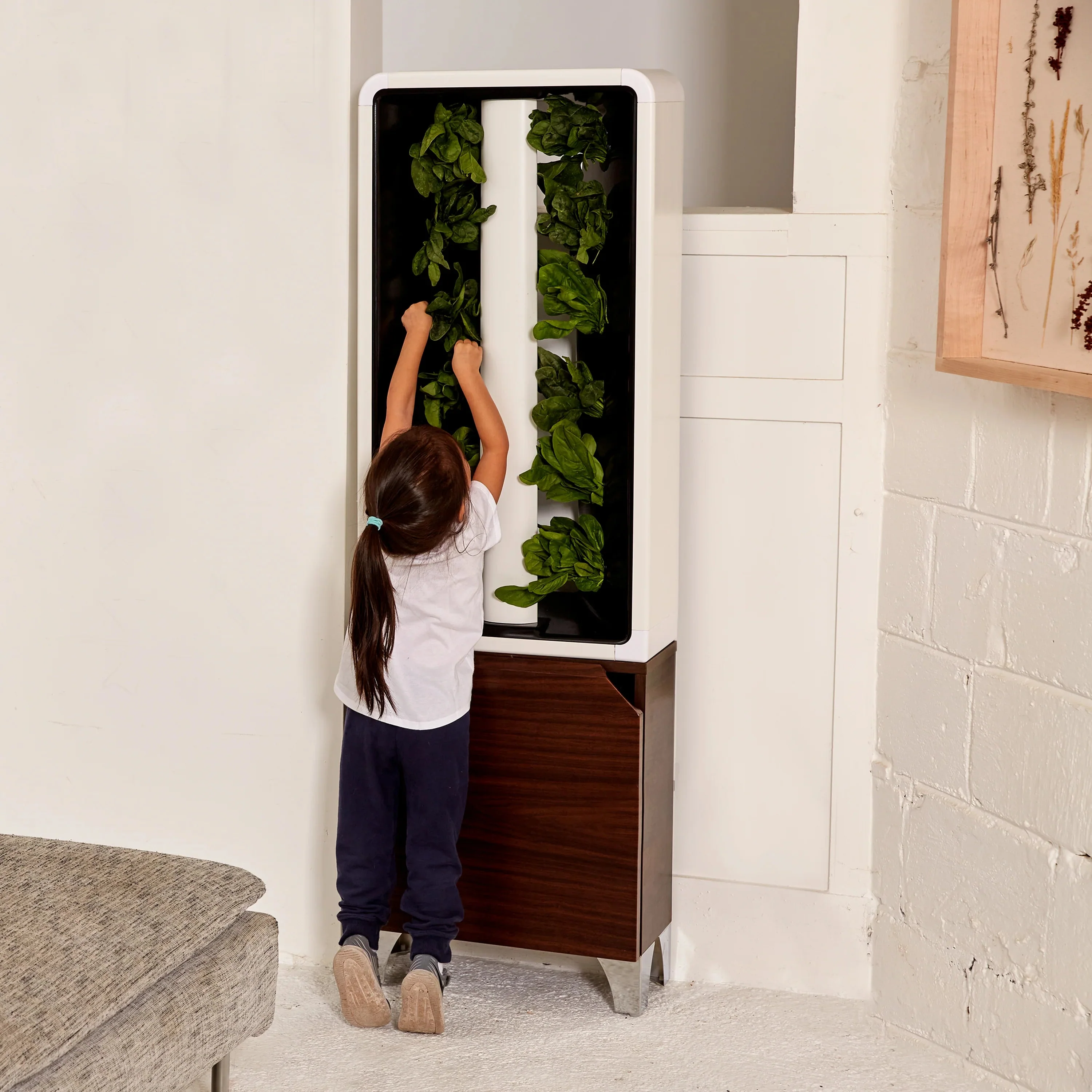 Just Vertical The EVE - Vertical Indoor Herb and Vegetable Garden - Image 5