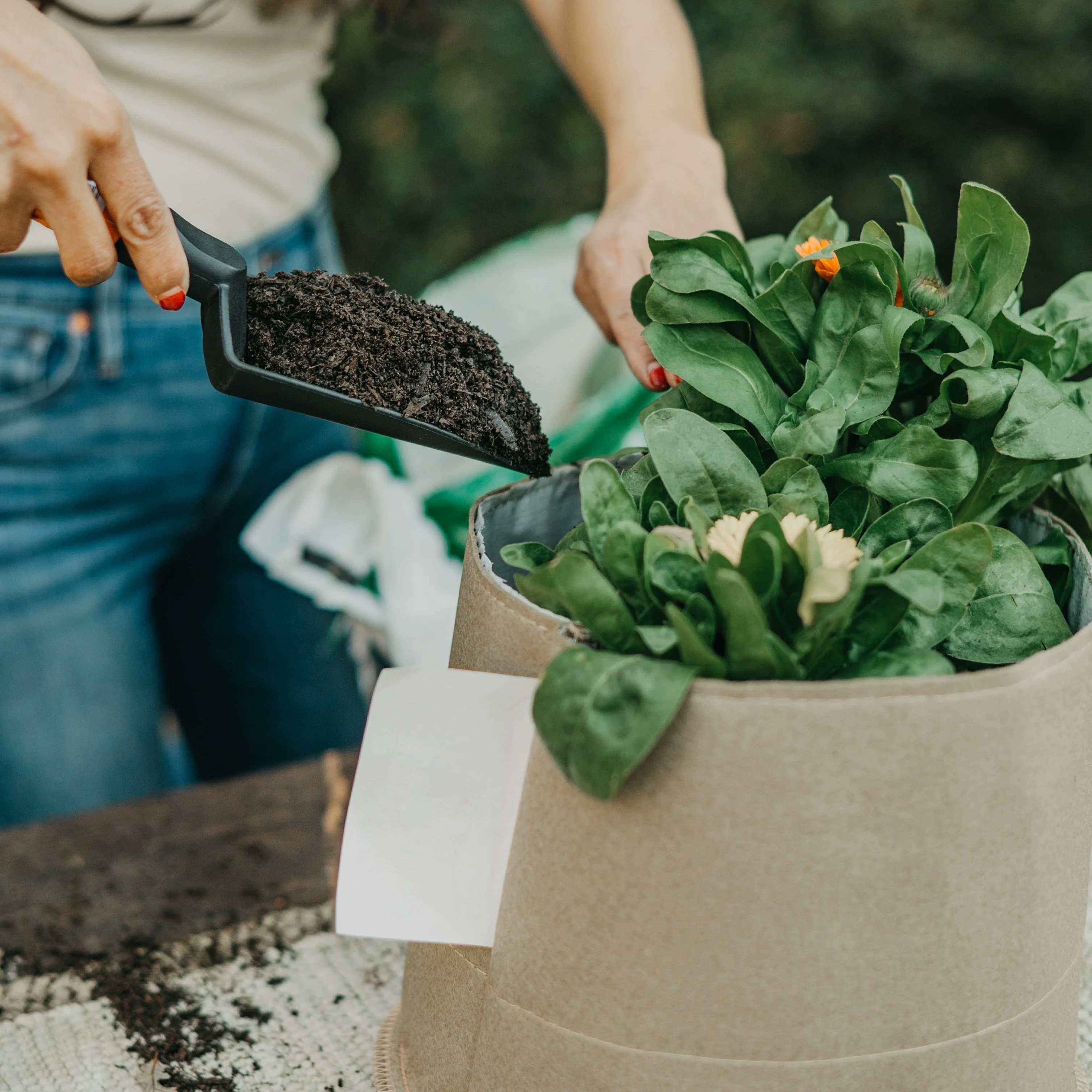 Living Soil Fabric Pot - Image 5