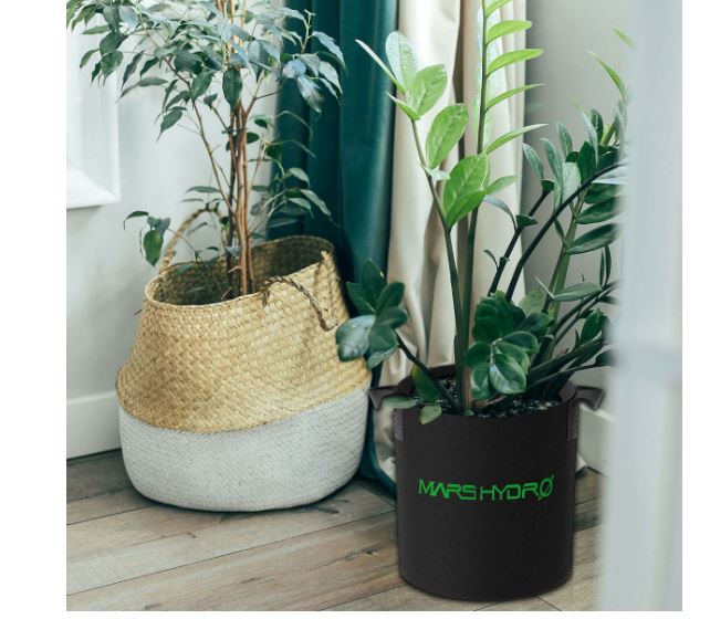 Mars Hydro Grow Bag - Image 5