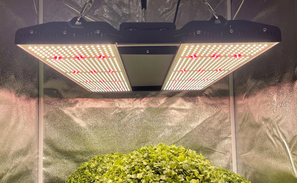 Medic Grow Mini Sun-2 150-500 Watt LED Grow Light - Image 6