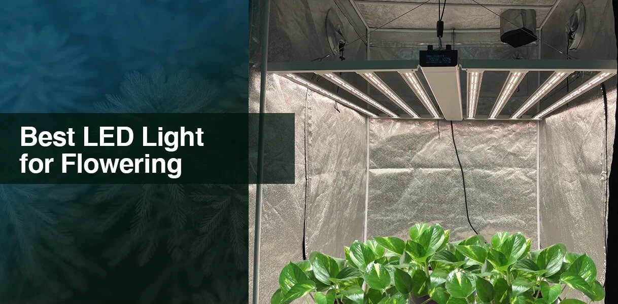 Medic Grow Smart-8 760 Watt Full Spectrum LED Grow Lights - Image 9