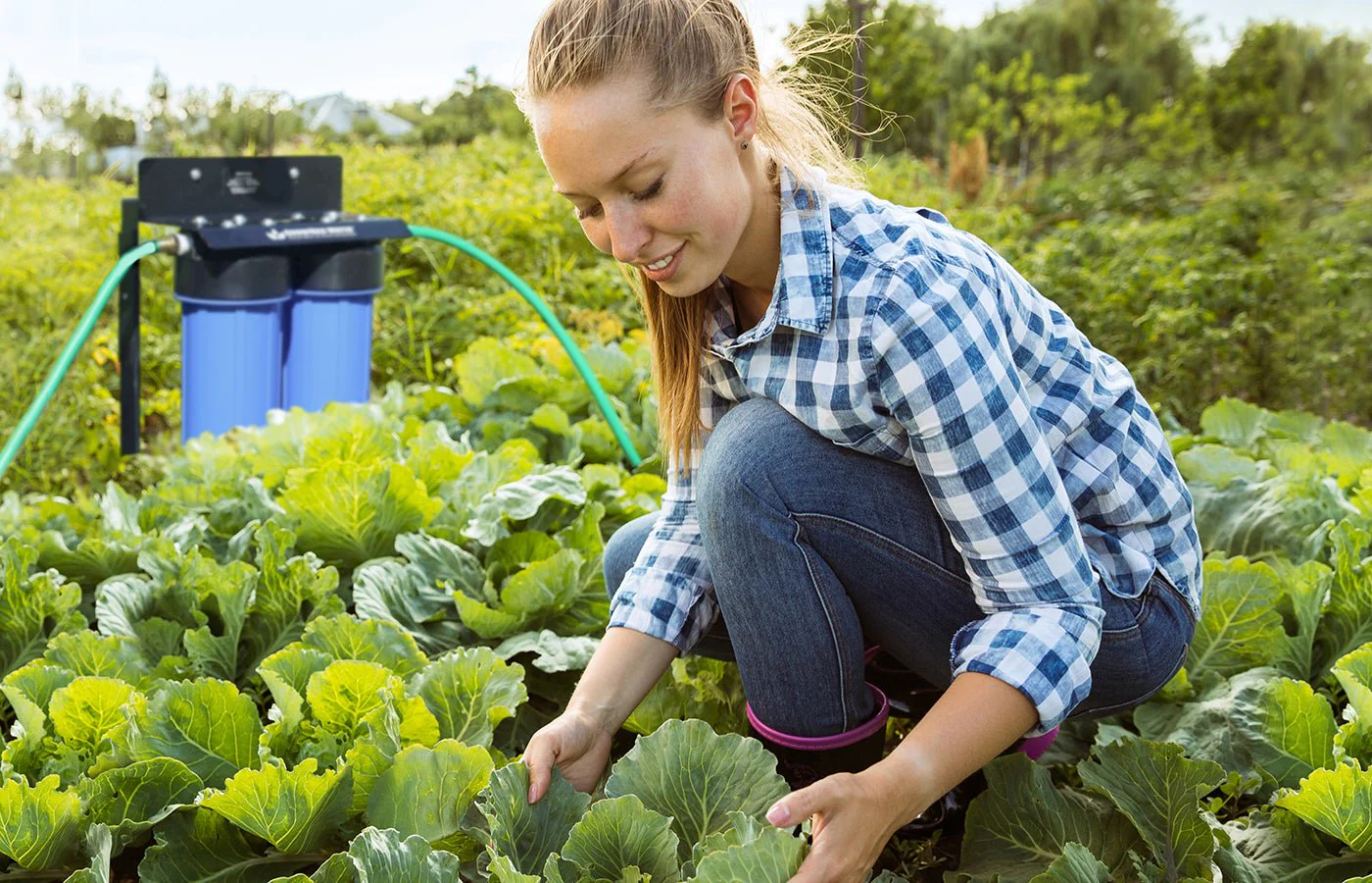 GrowMax Water Pro Grow 2000 Dechlorinator & Sediment Water Filter System - Image 7