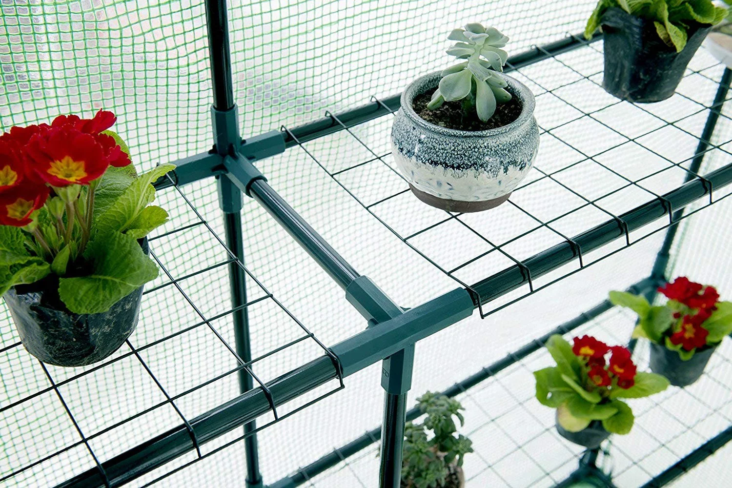 Riverstone Large Portable Walk In Greenhouse with Heavy Duty Opaque Cover - Image 3