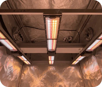 Scynce LED Raging Kush II (120°) 650 Watt Grow Light - Image 4