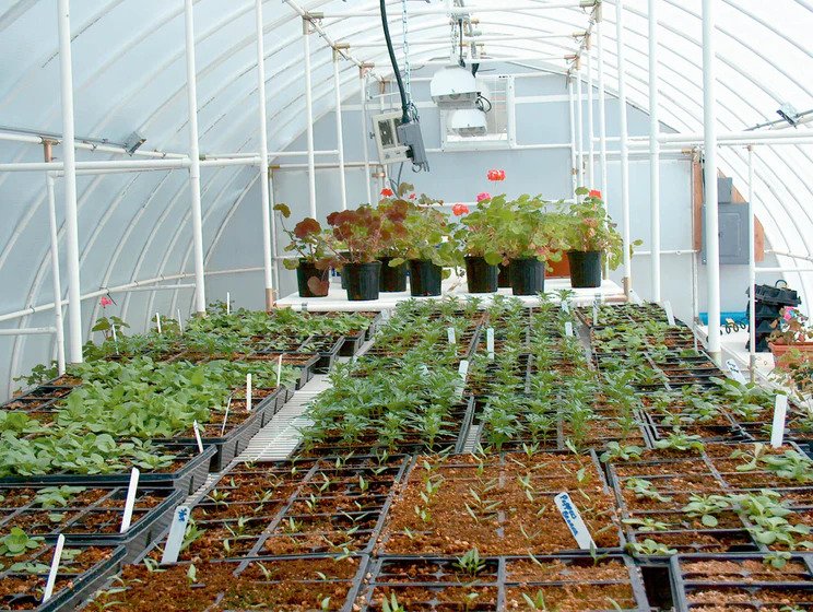 Solexx Conservatory Greenhouse - Image 2