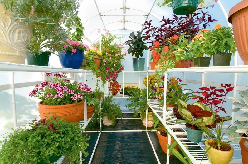 Solexx Gardener's Oasis Greenhouse - Image 3