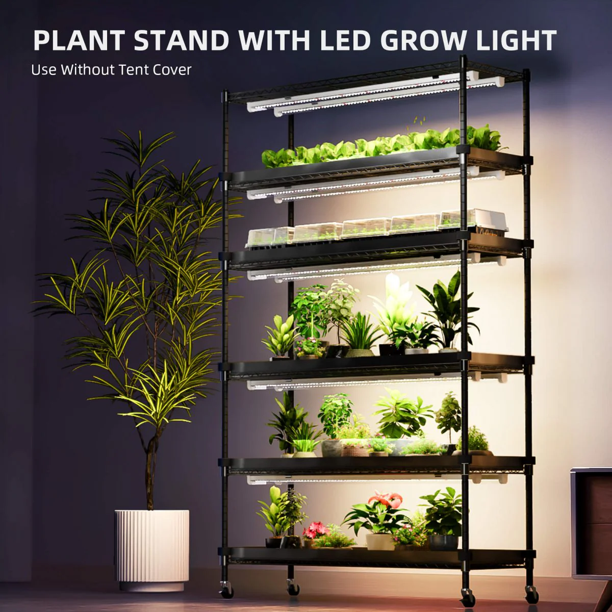 Spider Farmer 6 Tier Plant Stand With Grow Lights 220W , Plant Shelf with 1680D Grow Tent for Seedling Indoor Plant, Cloning and Greenhouse - Image 7