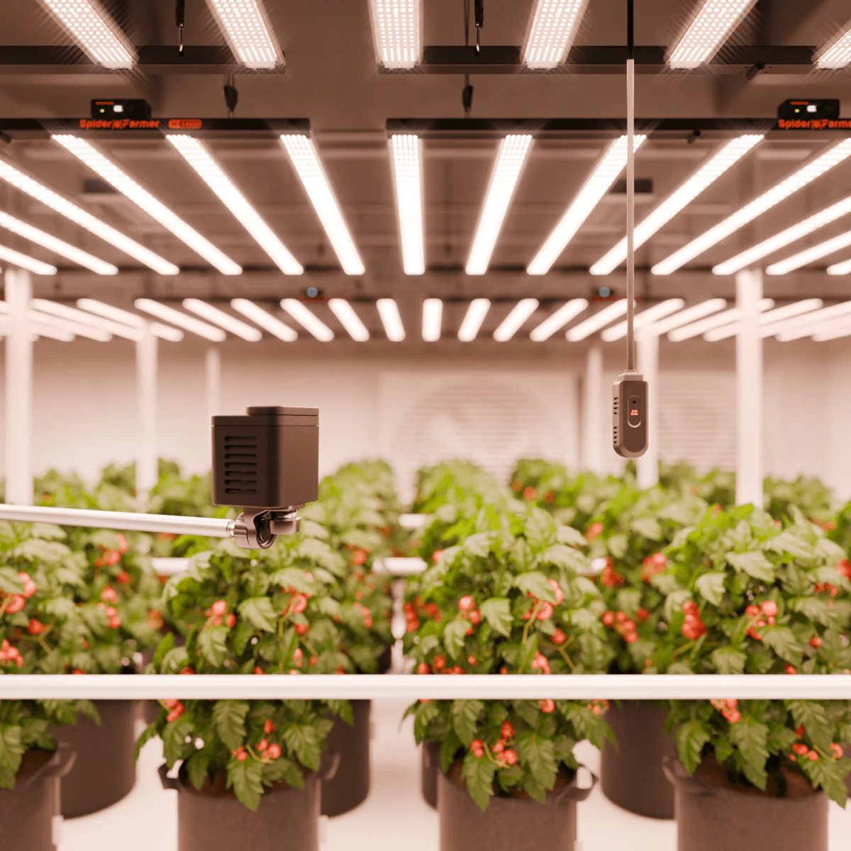 Spider Farmer Genius Grow System SensorPro Kits with CO2 Sensor and PAR Meter, Ideal for Optimizing Grow Tents, Grow Rooms - Image 10