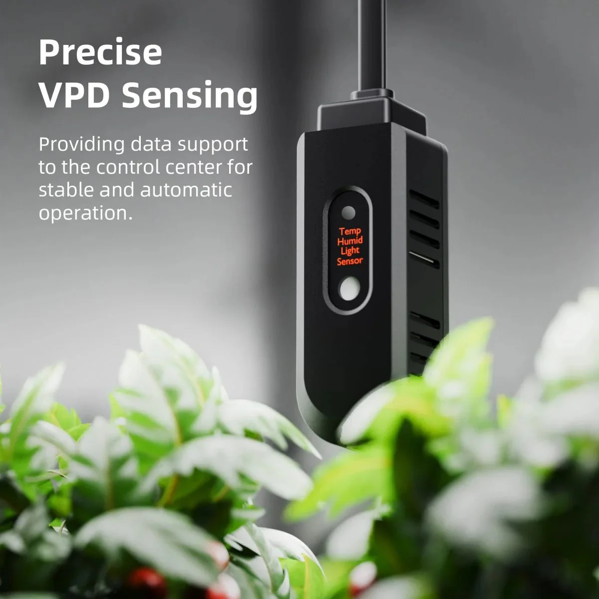 Spider Farmer GGS AC10 Power Strip with 10 Outlets for Grow Tent Climate Control, Featuring Temperature, Humidity, VPD Monitoring, Scheduling, Historical Data Tracking, Bluetooth & WiFi Connectivity - Image 6