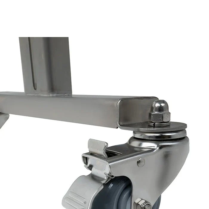 Twister Technologies T2/T4 Stainless Steel Feed Conveyor - Image 4