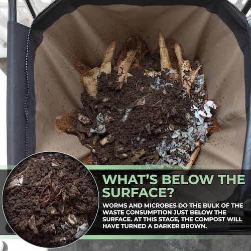 Urban Worm Bag Version 2 - Image 9