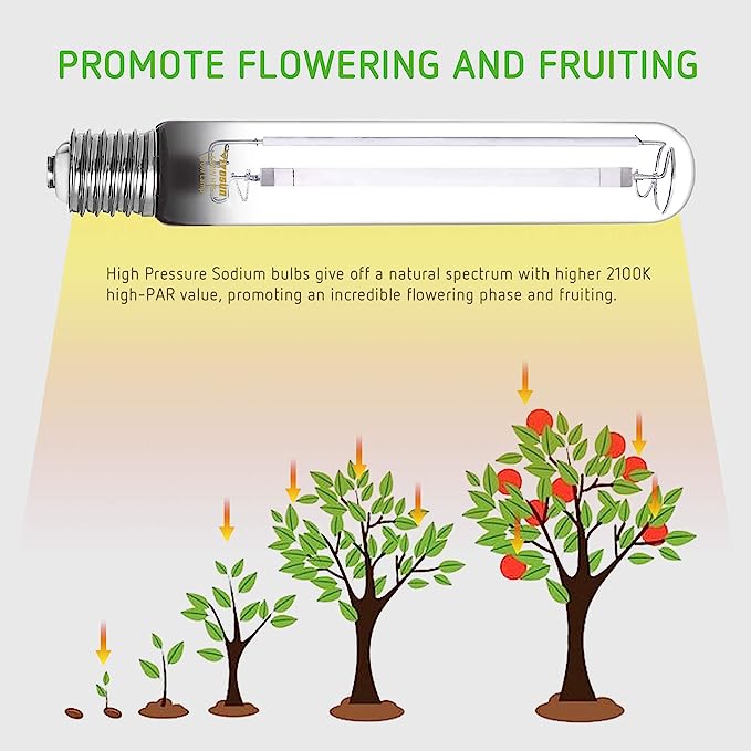 Vivosun 600 & 1000 Watt Grow Light Bulb - Image 3
